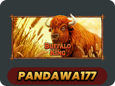 Buffalo King